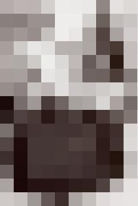 Bishop Vintage Master Art