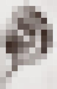 Bishop Vintage Master Art