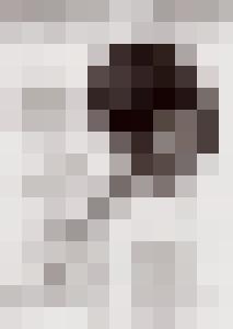 Bishop Vintage Master Art