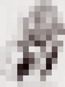 Bishop Vintage Master Art