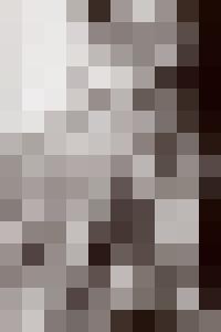 Bishop Vintage Master Art