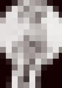 Bishop Vintage Master Art