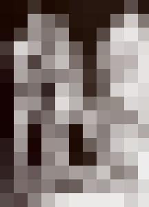 Bishop Vintage Master Art