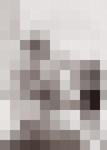 Bishop Vintage Master Art