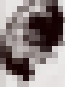 Bishop Vintage Master Art