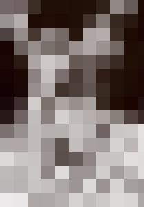 Bishop Vintage Master Art