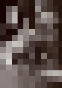 Bishop Vintage Master Art