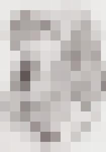 Bishop Vintage Master Art