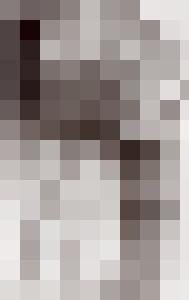 Bishop Vintage Master Art