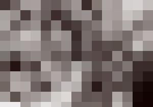 Bishop Vintage Master Art