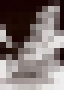 Bishop Vintage Master Art