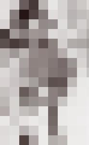 Bishop Vintage Master Art