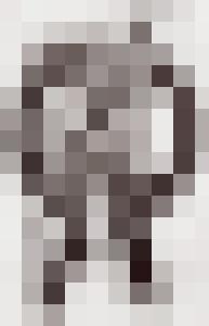 Bishop Vintage Master Art