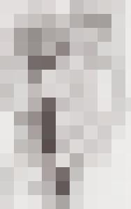 Bishop Vintage Master Art