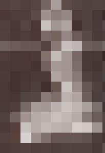 Bishop Vintage Master Art