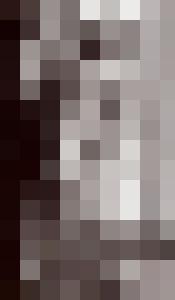 Bishop Vintage Master Art