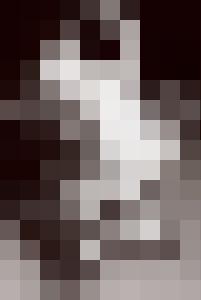 Bishop Vintage Master Art