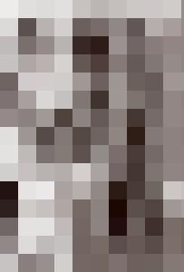 Bishop Vintage Master Art