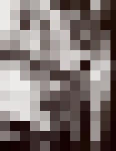 Bishop Vintage Master Art