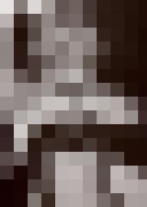 Bishop Vintage Master Art