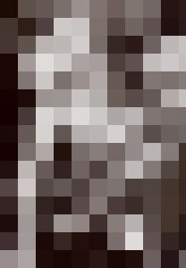 Bishop Vintage Master Art