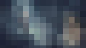 Colección en español / Spanish Language Collection