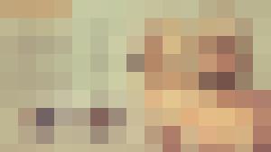 Colección en español / Spanish Language Collection