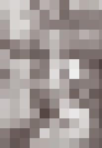 The Aristocrat's Daughter