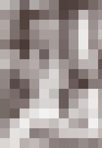 The Aristocrat's Daughter