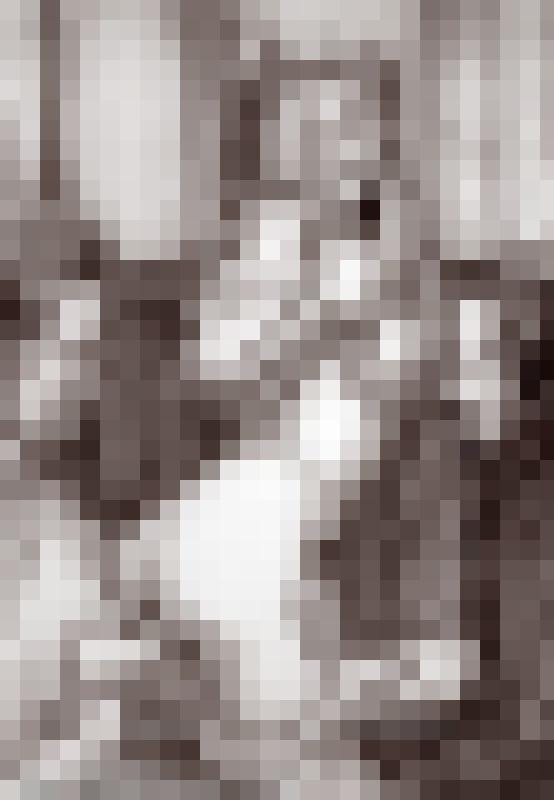 The Aristocrat's Daughter