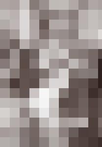 The Aristocrat's Daughter