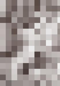 The Aristocrat's Daughter