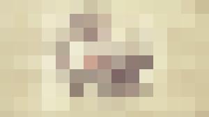 Collection in English: New images and sketches