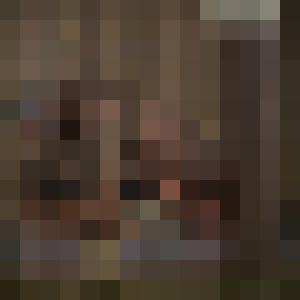 BLIR collection