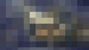 Chaima's Bitch (Harem Inventory)