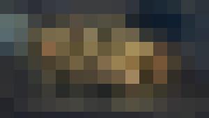 Chaima's Bitch (Harem Inventory)