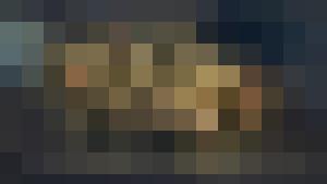 Chaima's Bitch (Harem Inventory)