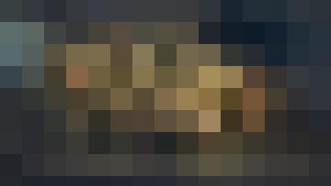 Chaima's Bitch (Harem Inventory)