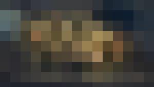 Chaima's Bitch (Harem Inventory)