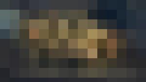 Chaima's Bitch (Harem Inventory)