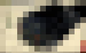 Black Van 2