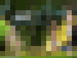 The Woods Have Eyes