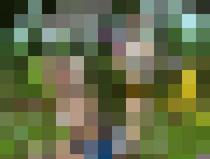 The Woods Have Eyes