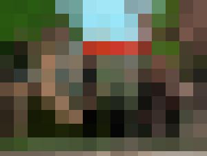 The Woods Have Eyes
