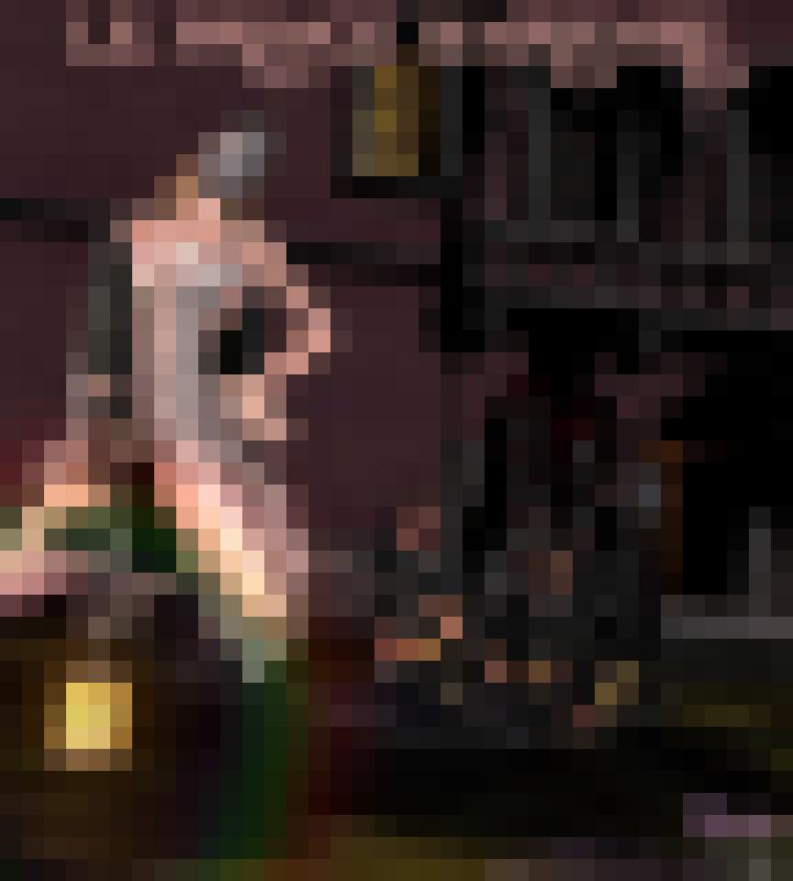 The Barbarian prince
