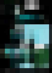 Collector 3